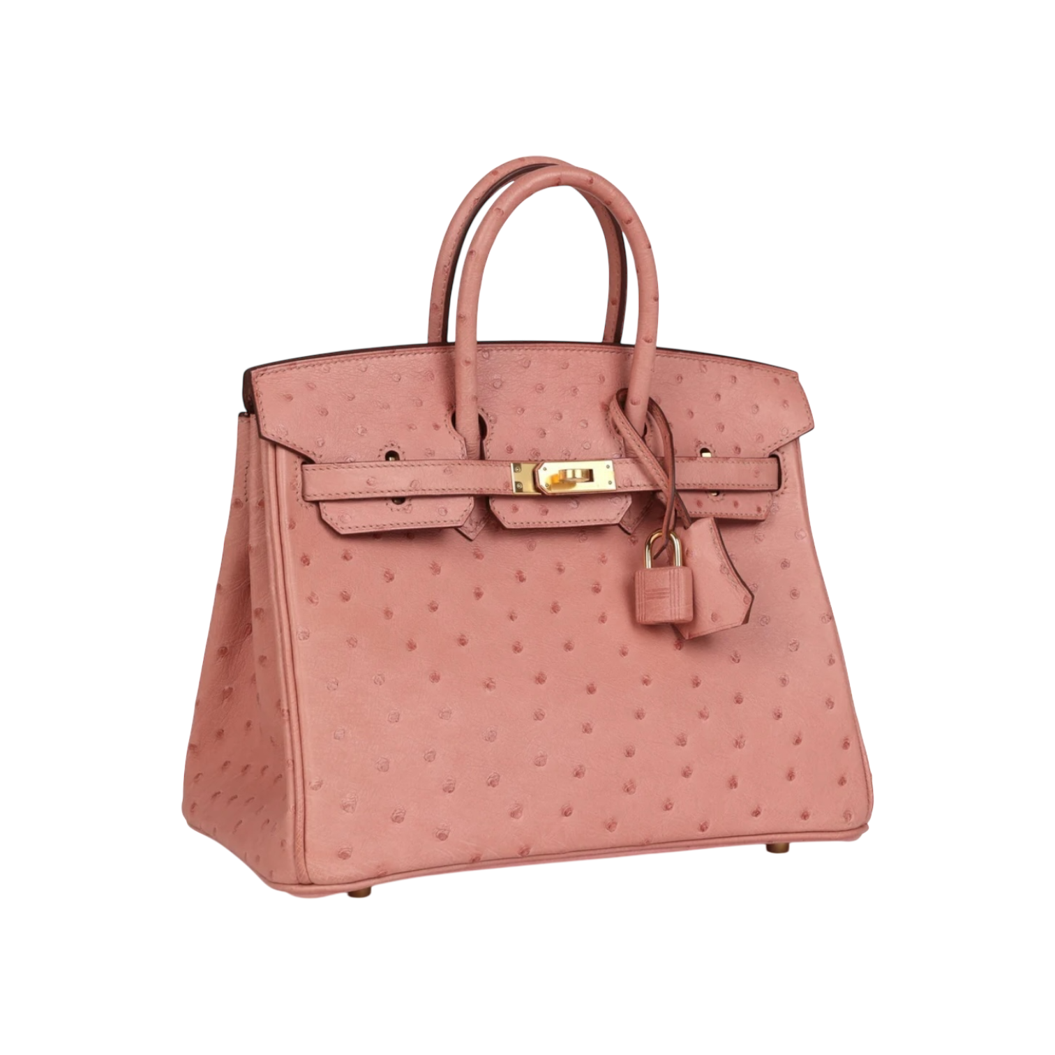 Hermès Birkin 25 Terre Cuite Ostrich Gold Hardware Chrome Dubai