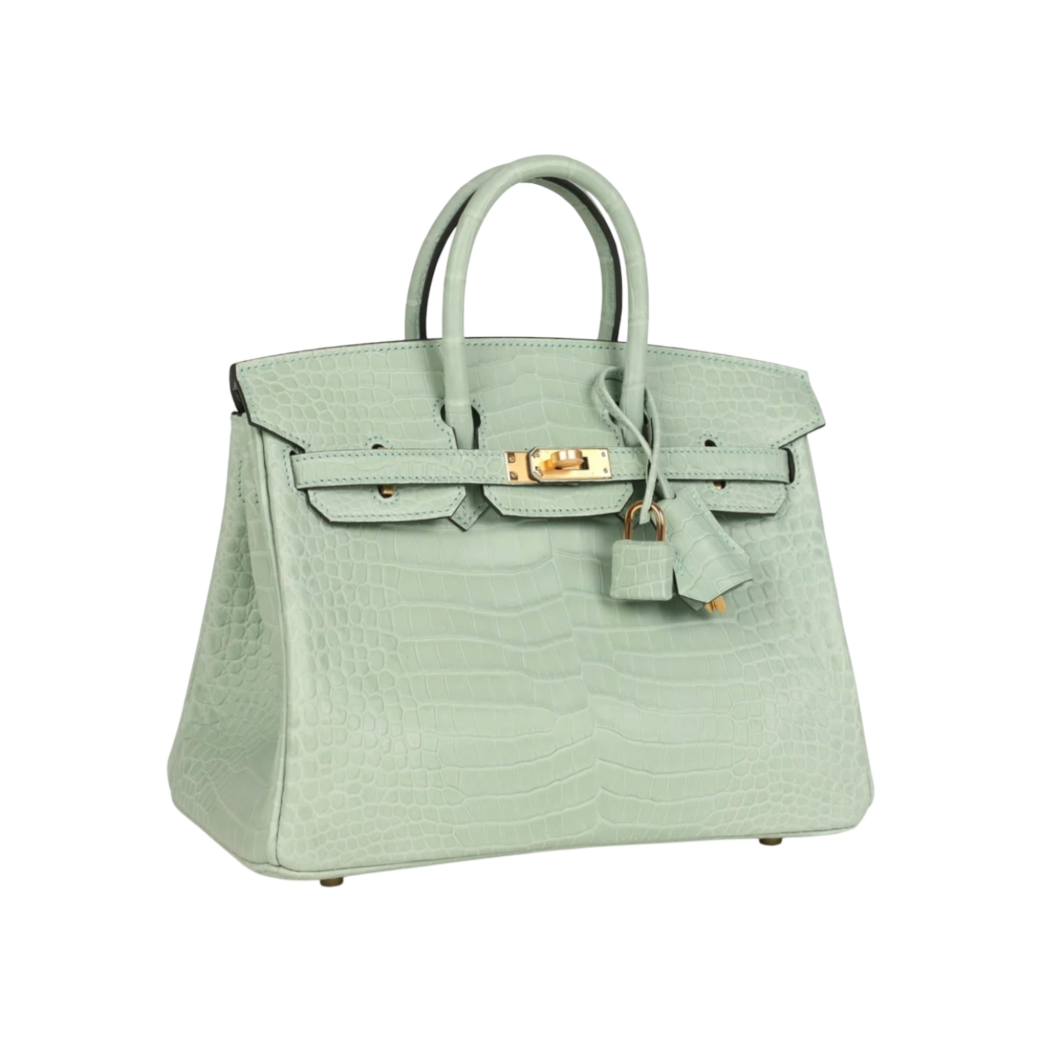 Hermès Birkin 25 Vert Matte Porosus Crocodile Gold Hardware Chrome Dubai