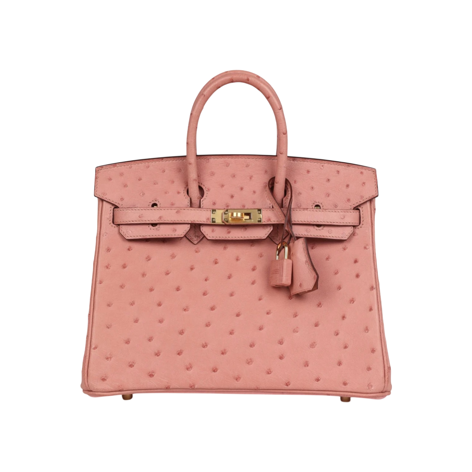 Hermès Birkin 25 Terre Cuite Ostrich Gold Hardware Chrome Dubai